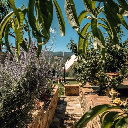 Little Val D'Orcia Διαμέρισμα Montenero d'Orcia Εξωτερικό φωτογραφία