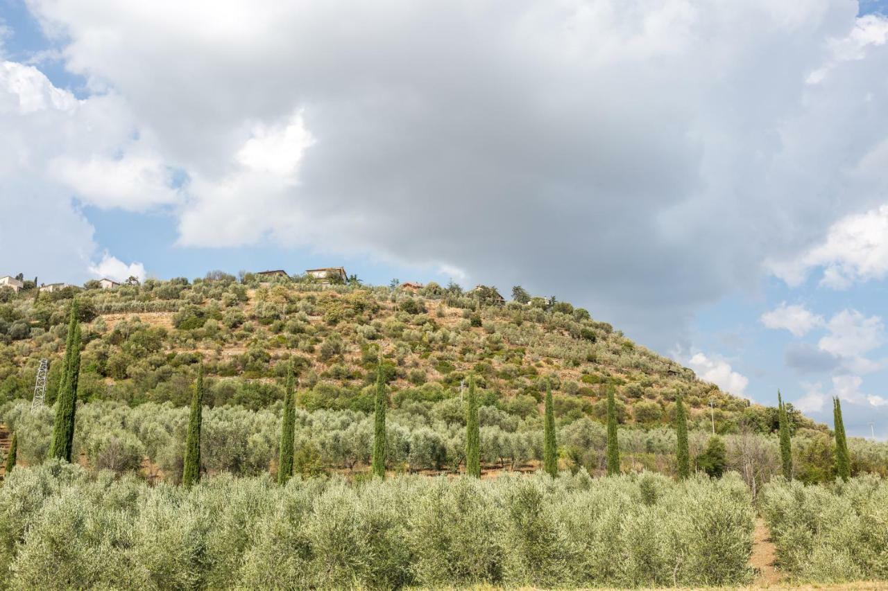 Little Val D'Orcia Διαμέρισμα Montenero d'Orcia Εξωτερικό φωτογραφία