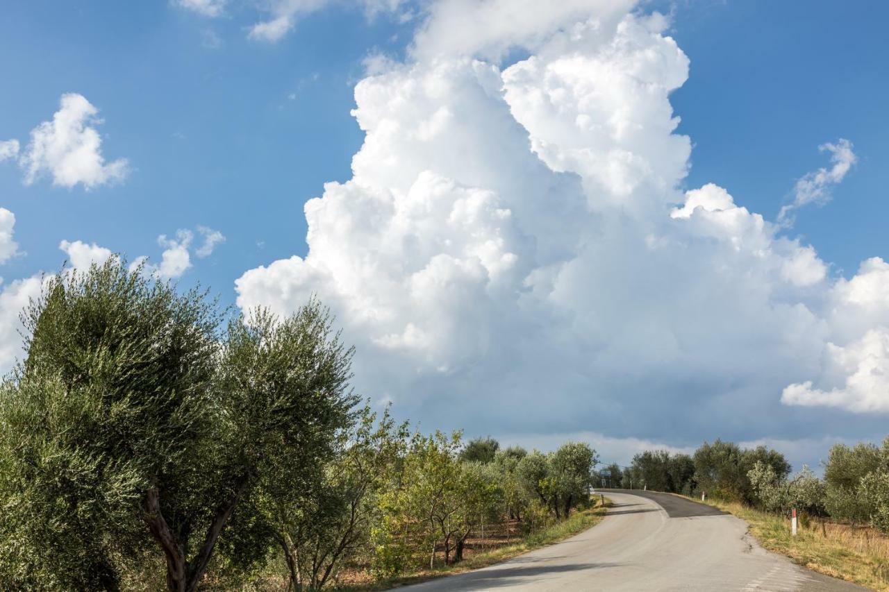 Little Val D'Orcia Διαμέρισμα Montenero d'Orcia Εξωτερικό φωτογραφία